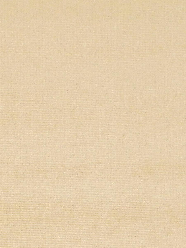 Old World Weavers Glamour Velvet Elm Fabric