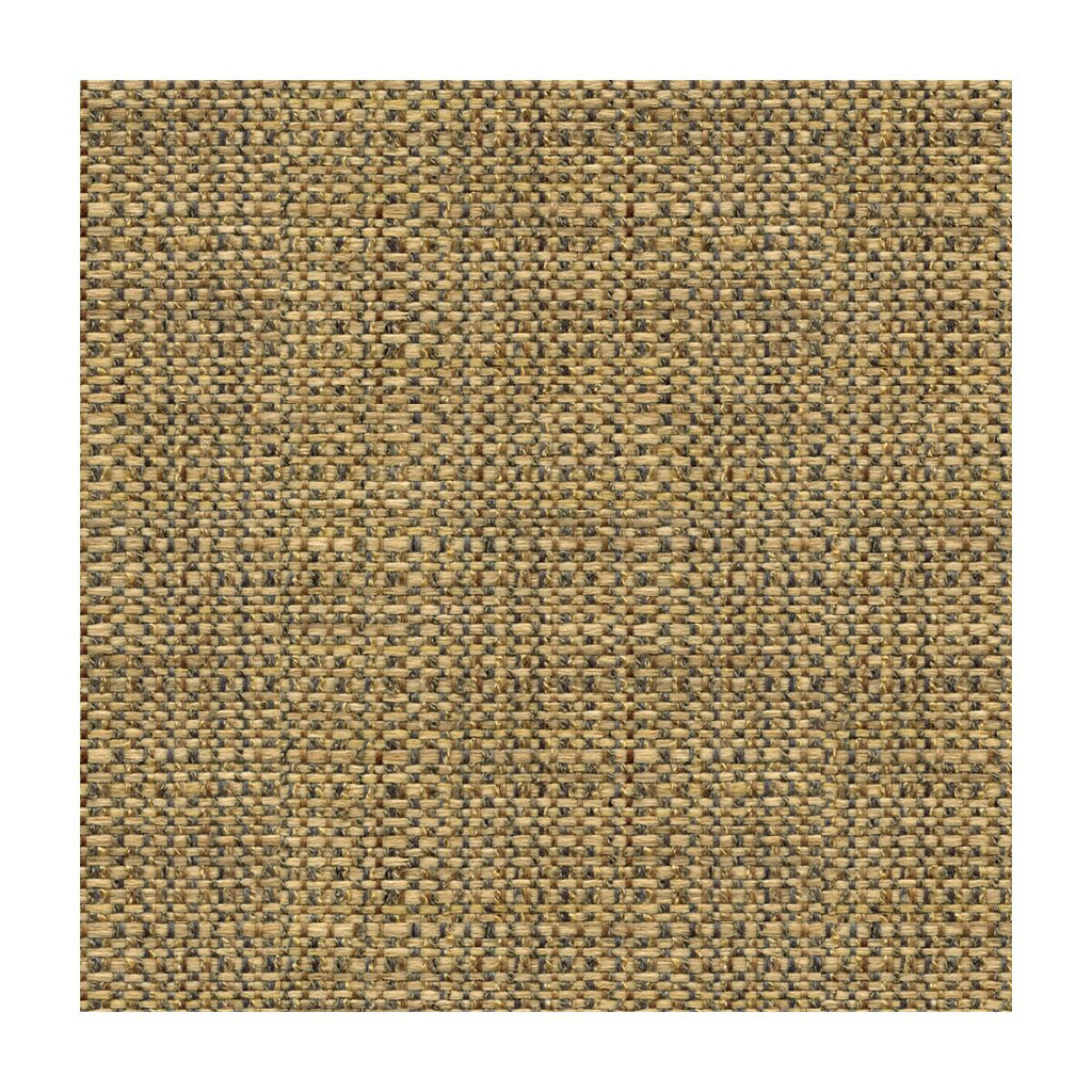 Kravet KRAVET SMART 30667-516 Fabric