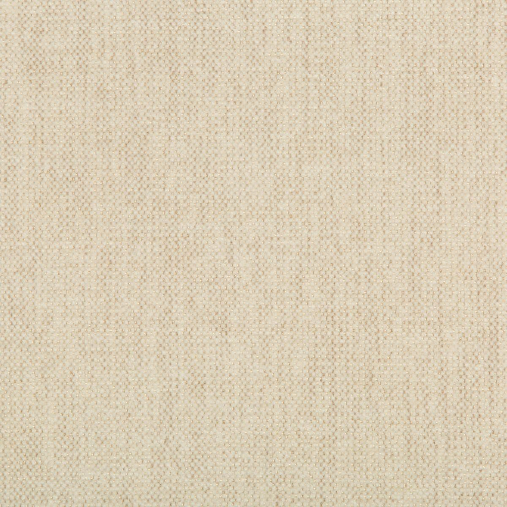 Kravet KRAVET SMART 35393-111 Fabric