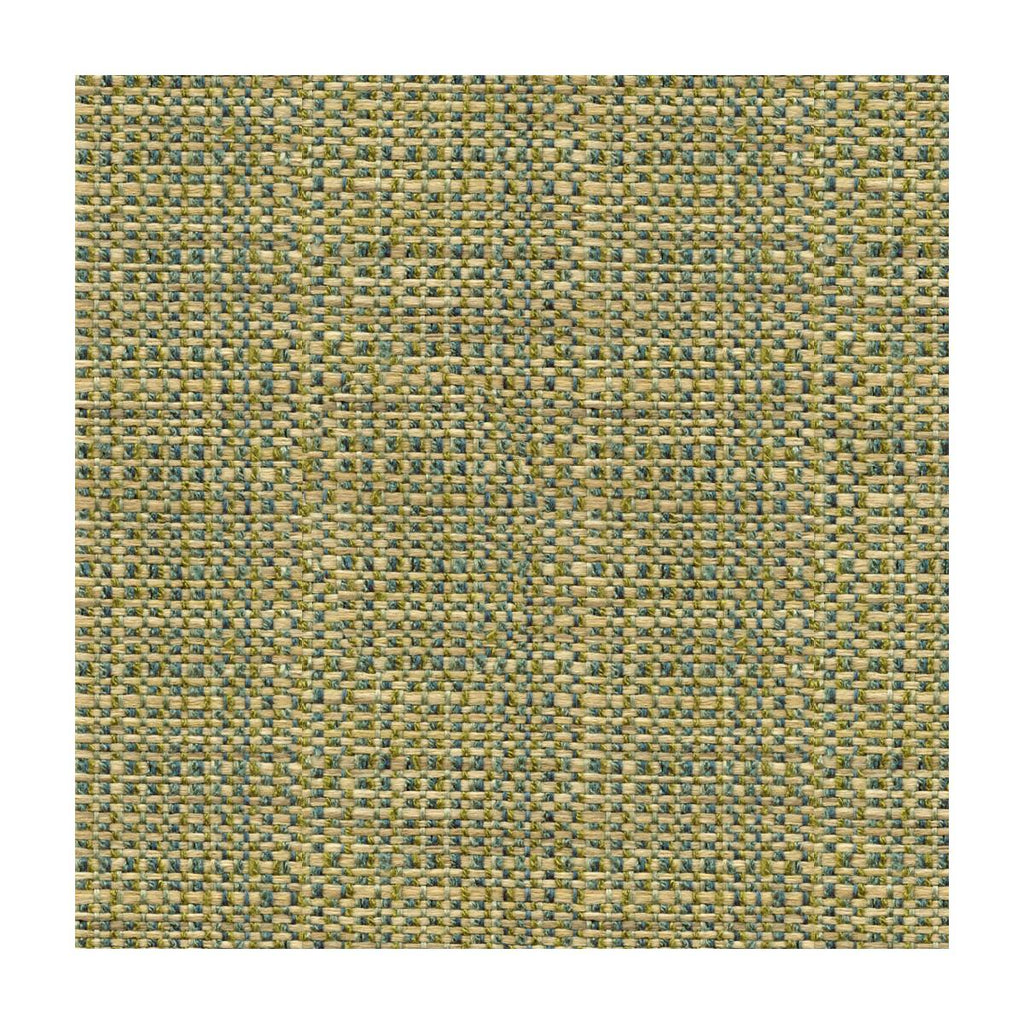 Kravet KRAVET SMART 30667-315 Fabric