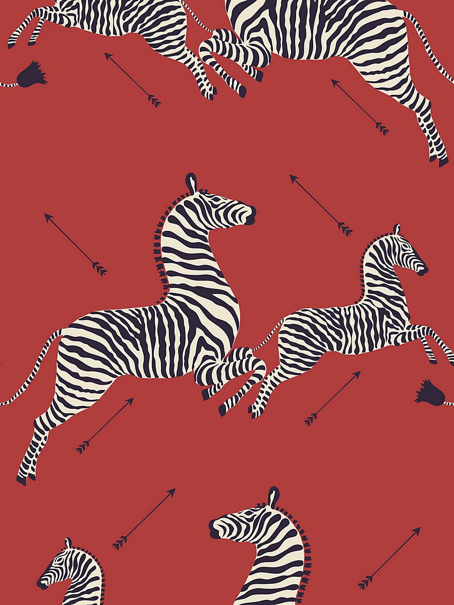 zebra print wallpaper for twitter