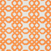 Lee Jofa Well Connected Clementine Fabric