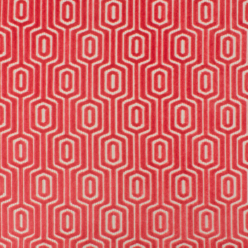 Stout HYPNOTIZE WATERMELON Fabric