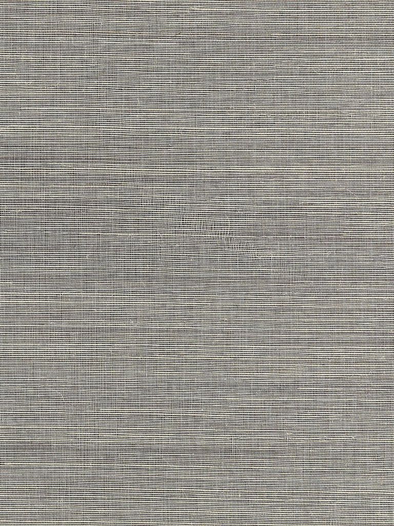 Scalamandre Fine Sisal Safari Wallpaper