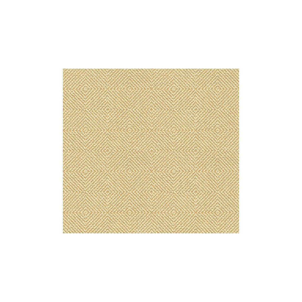 Kravet KRAVET SMART 33002-1116 Fabric