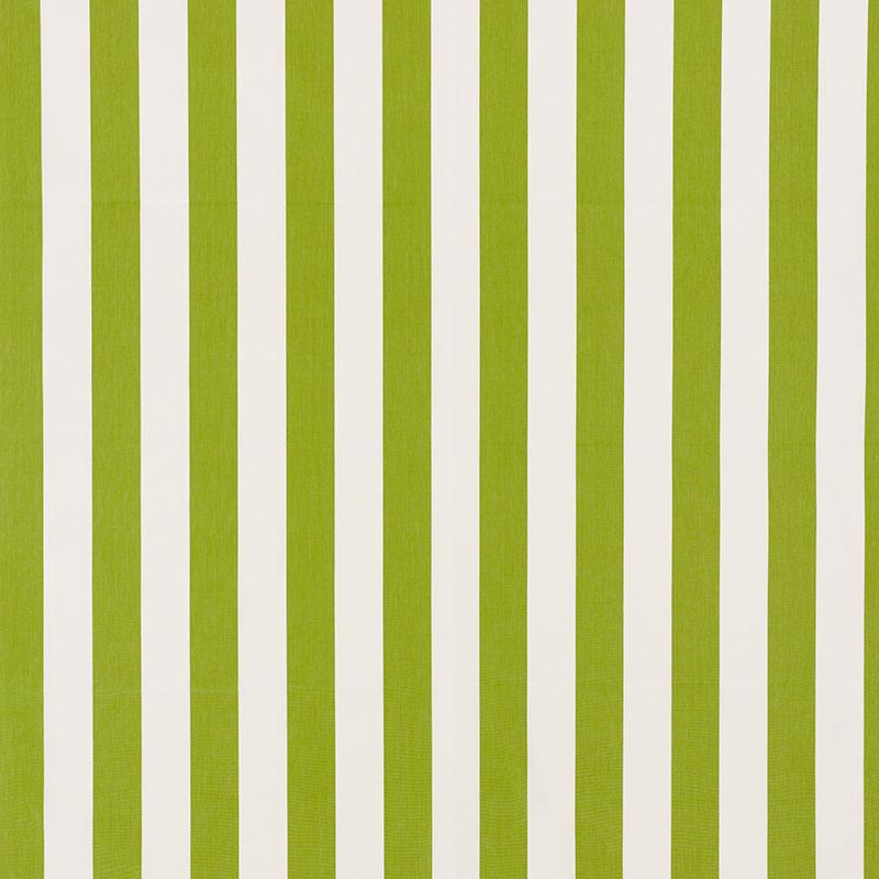 Schumacher Andy Stripe Green Fabric