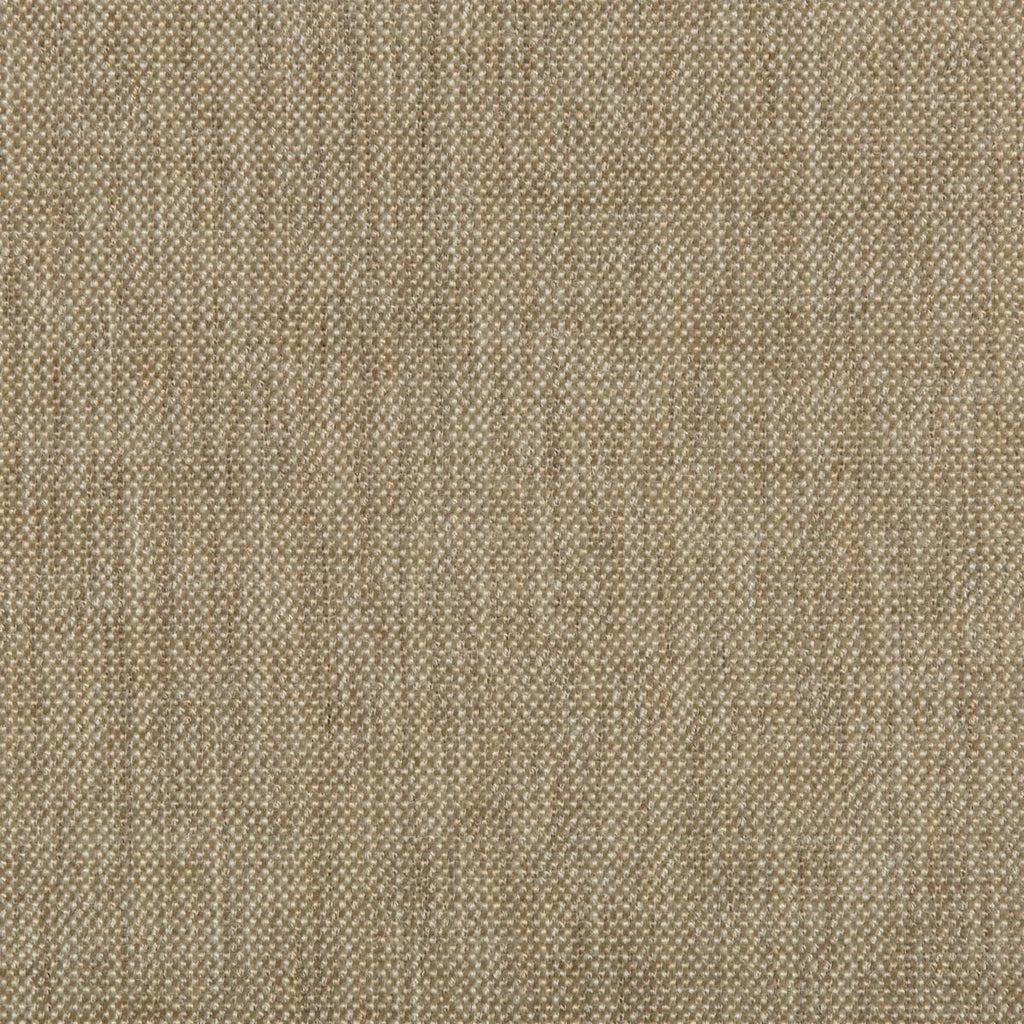 Kravet KRAVET SMART 33577-16 Fabric