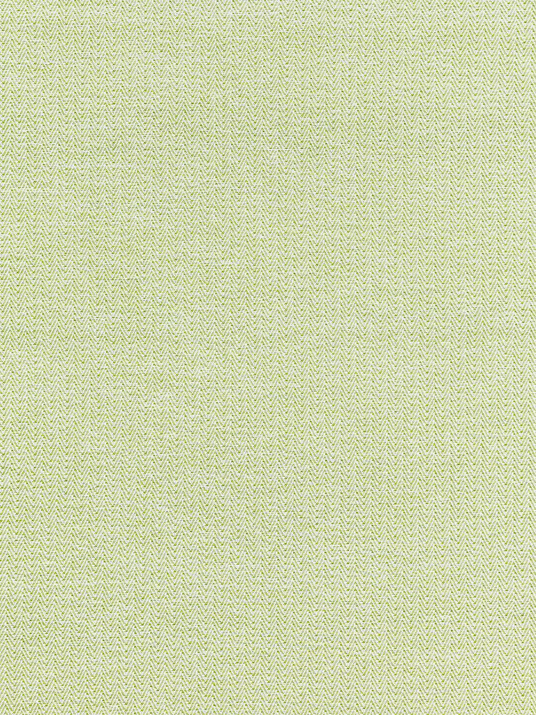 Scalamandre Capri Herringbone Palm Fabric