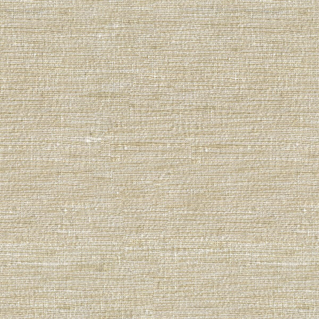 Kravet KRAVET BASICS 33281-1116 Fabric