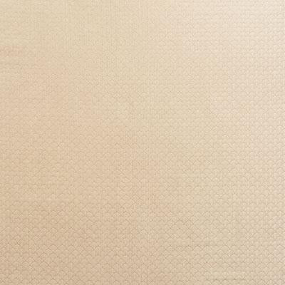 Schumacher Ashton Champagne Fabric