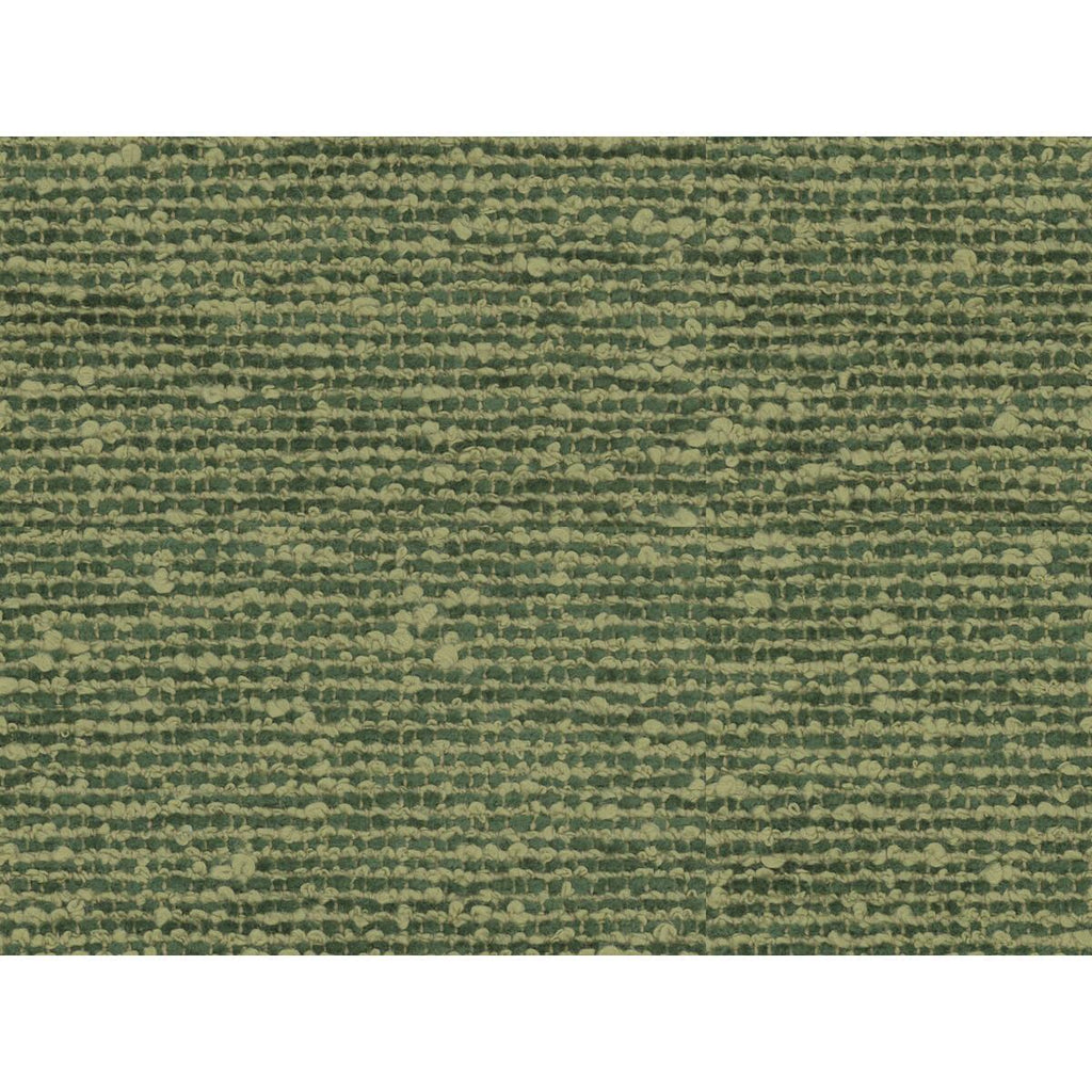 Brunschwig & Fils VANOISE CHENILLE AVOCADO Fabric