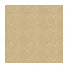 Kravet Mythical Lines Stucco Drapery Fabric