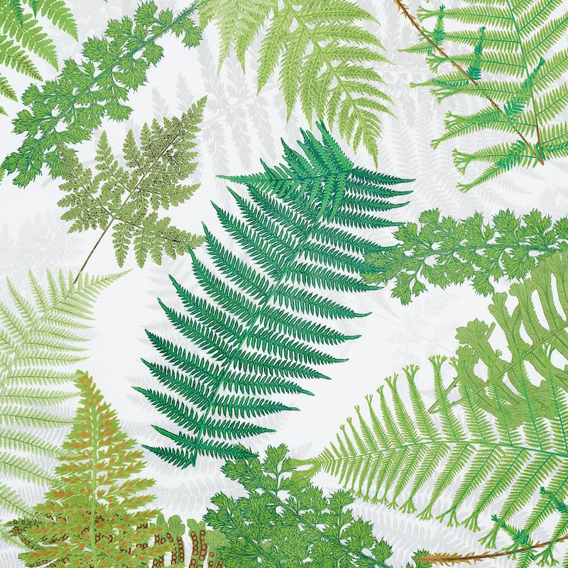 Schumacher Fernarium Green & Ivory Fabric