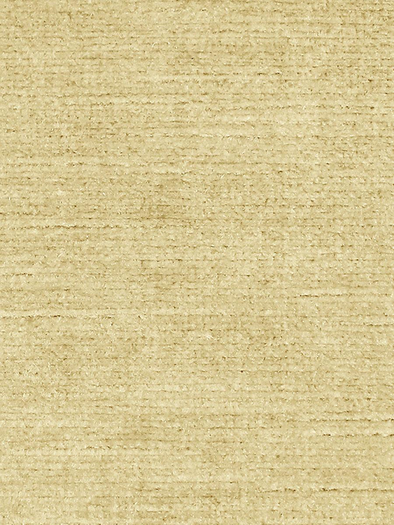 Scalamandre Persia Beige Fabric