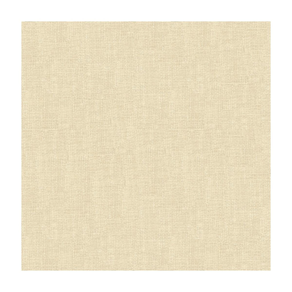 Kravet 4118 1 Fabric