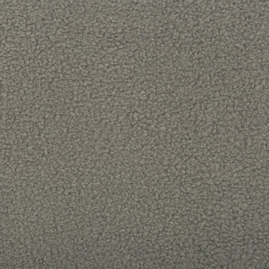 Kravet KRAVET BASICS 35216-11 Fabric