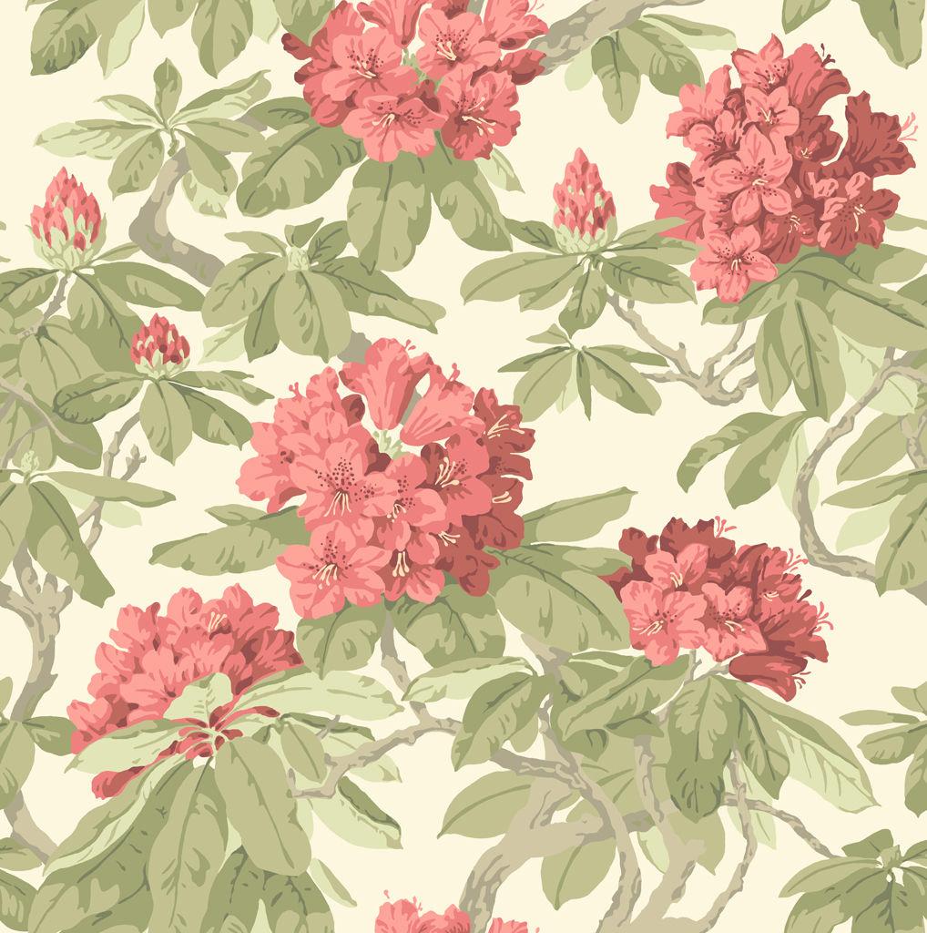 Cole & Son BOURLIE CORAL Wallpaper