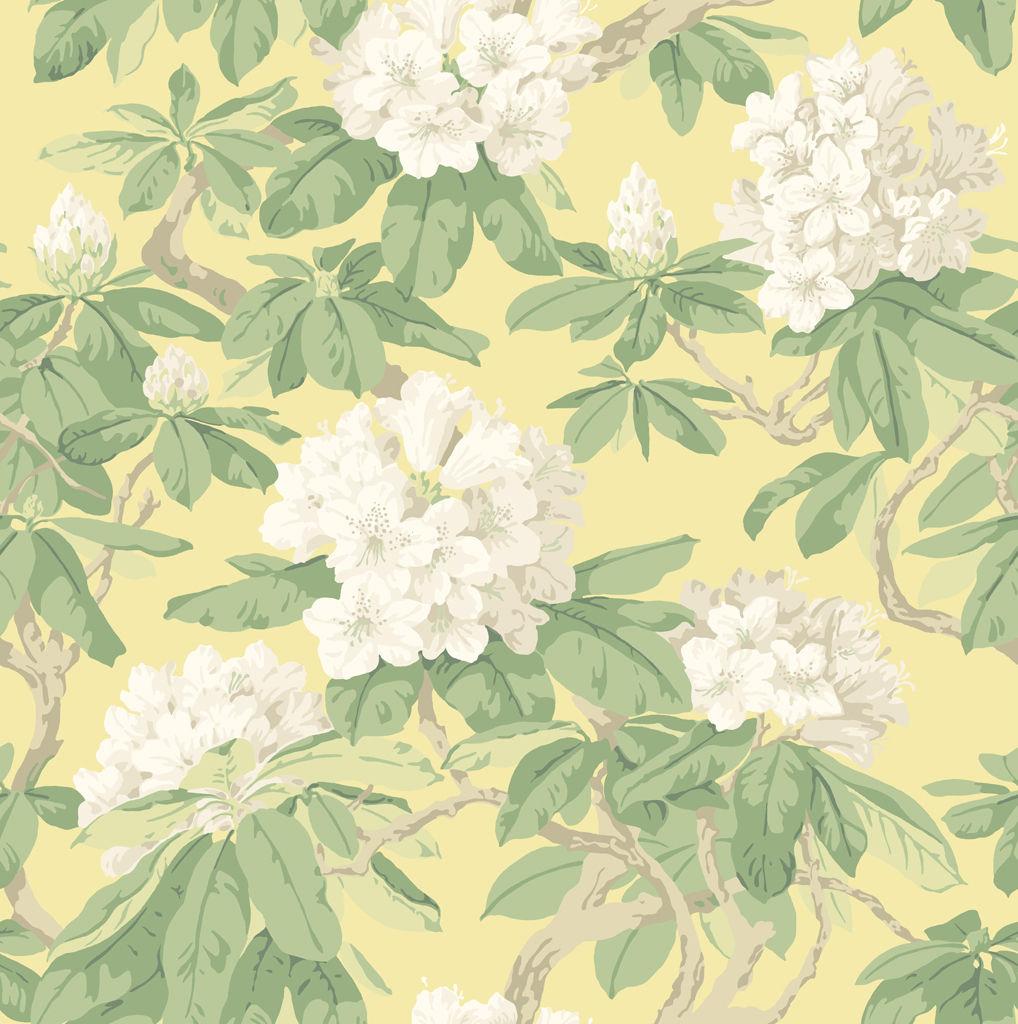 Cole & Son BOURLIE PALE LEMON Wallpaper