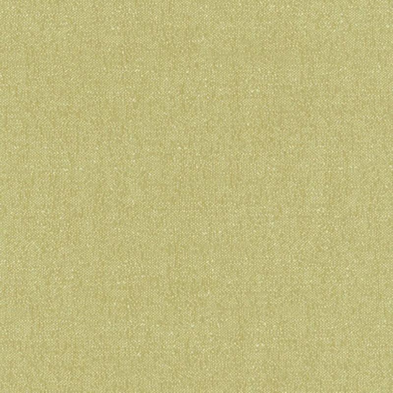 Schumacher Stone Texture Fern Fabric