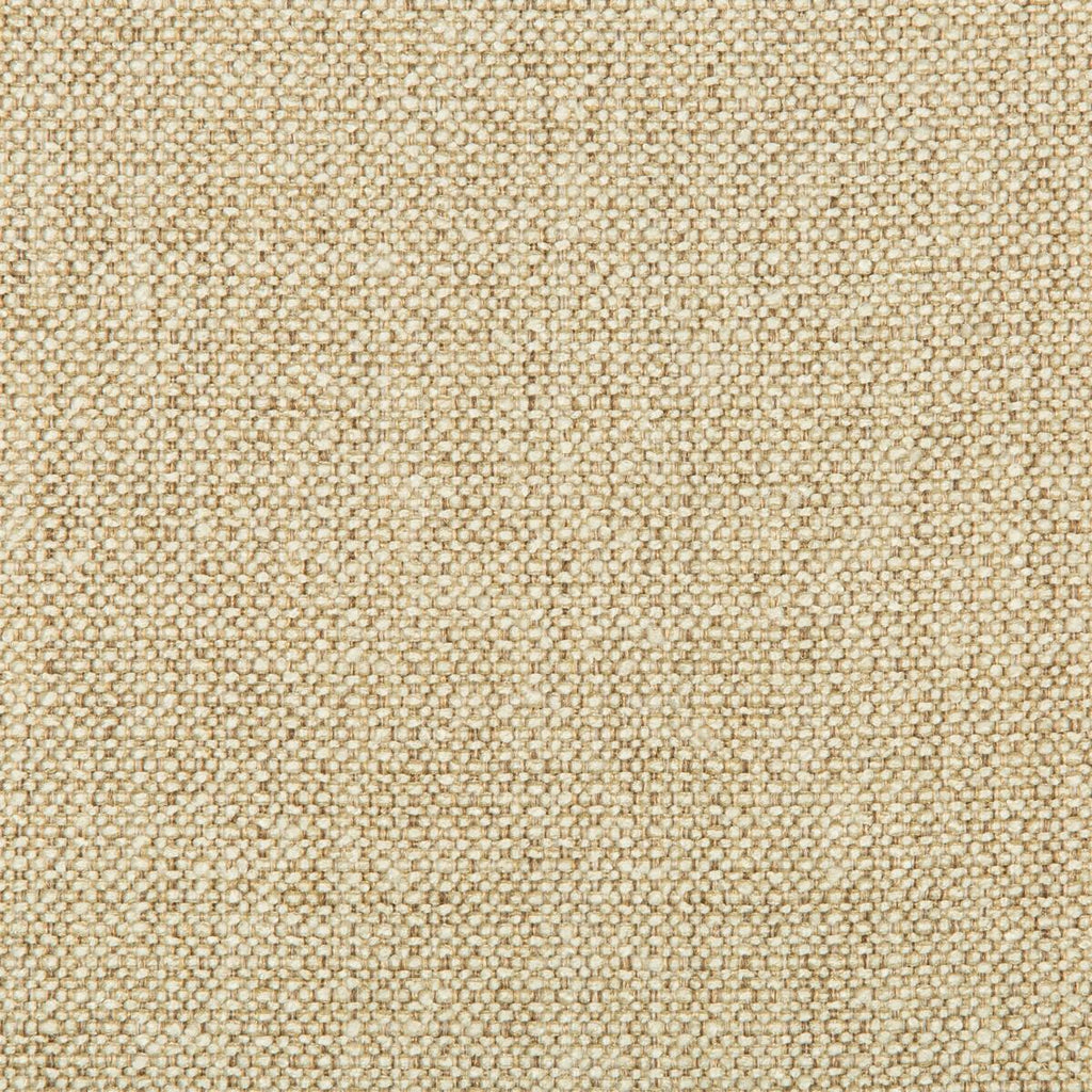 Kravet KRAVET SMART 32964-16 Fabric