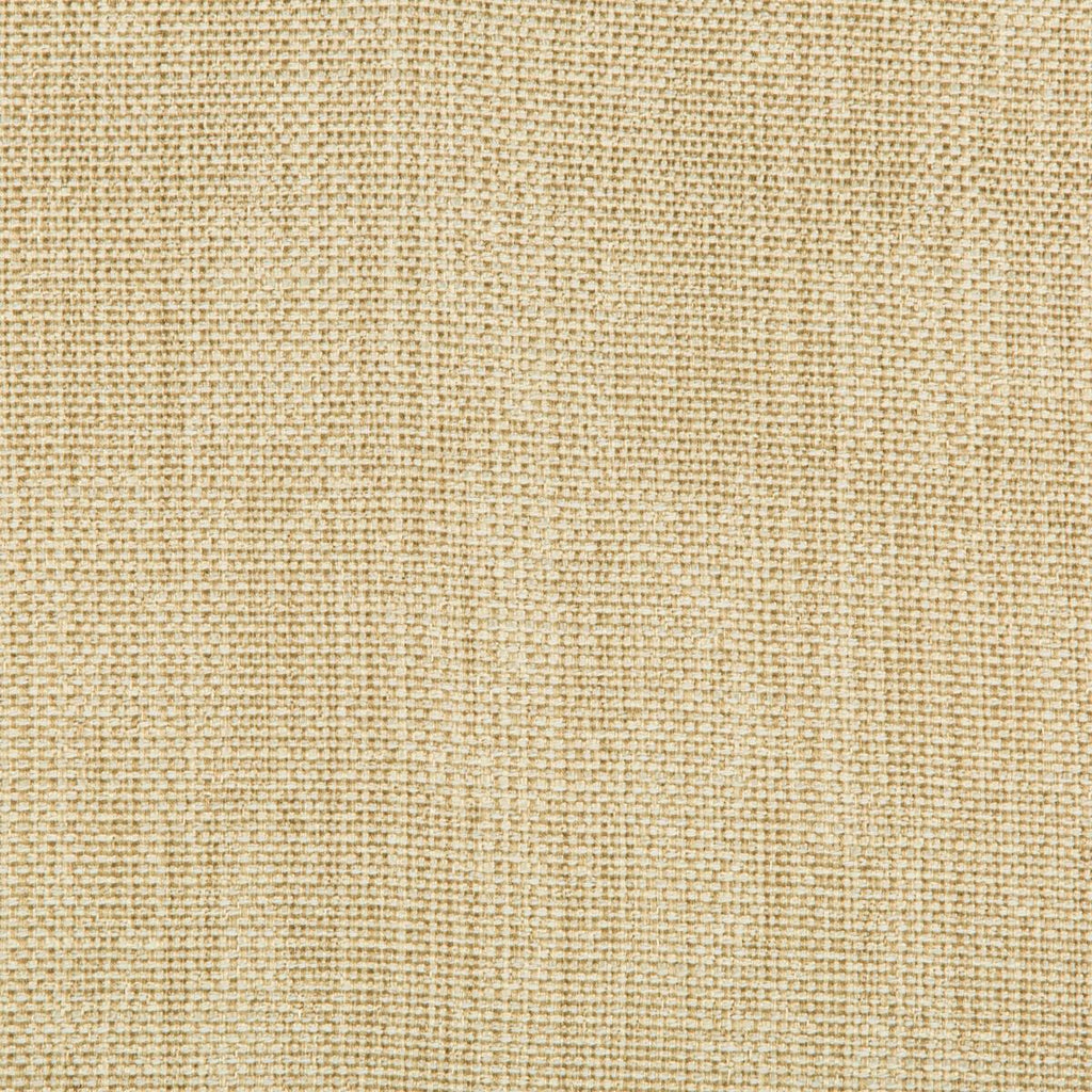 Kravet 35132 4 Fabric