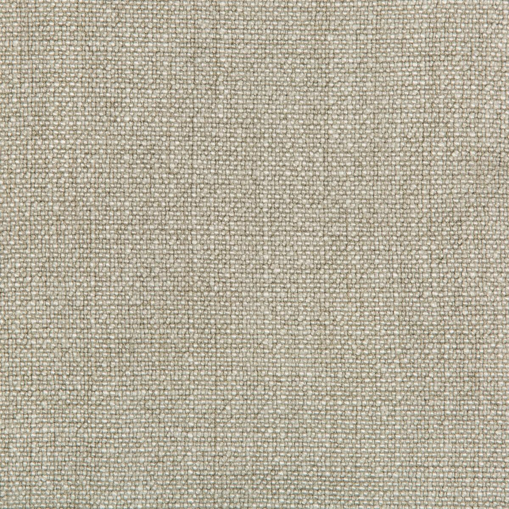 Kravet KRAVET BASICS 35189-1111 Fabric