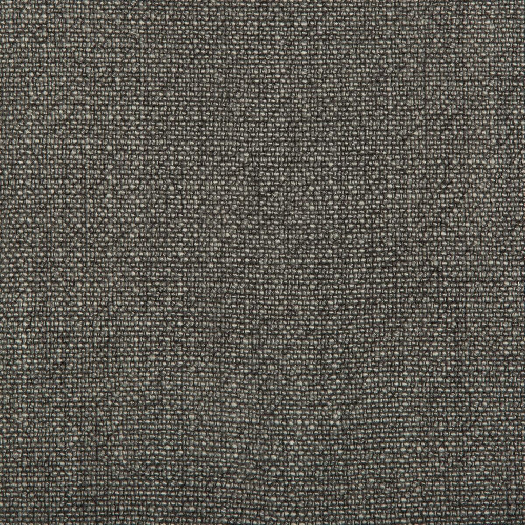 Kravet KRAVET BASICS 35189-821 Fabric