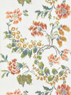 Scalamandre Kew Gardens Warp Print Multi On Ivory Drapery Fabric