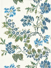 Scalamandre Kew Gardens Warp Print Blues On Ivory Drapery Fabric