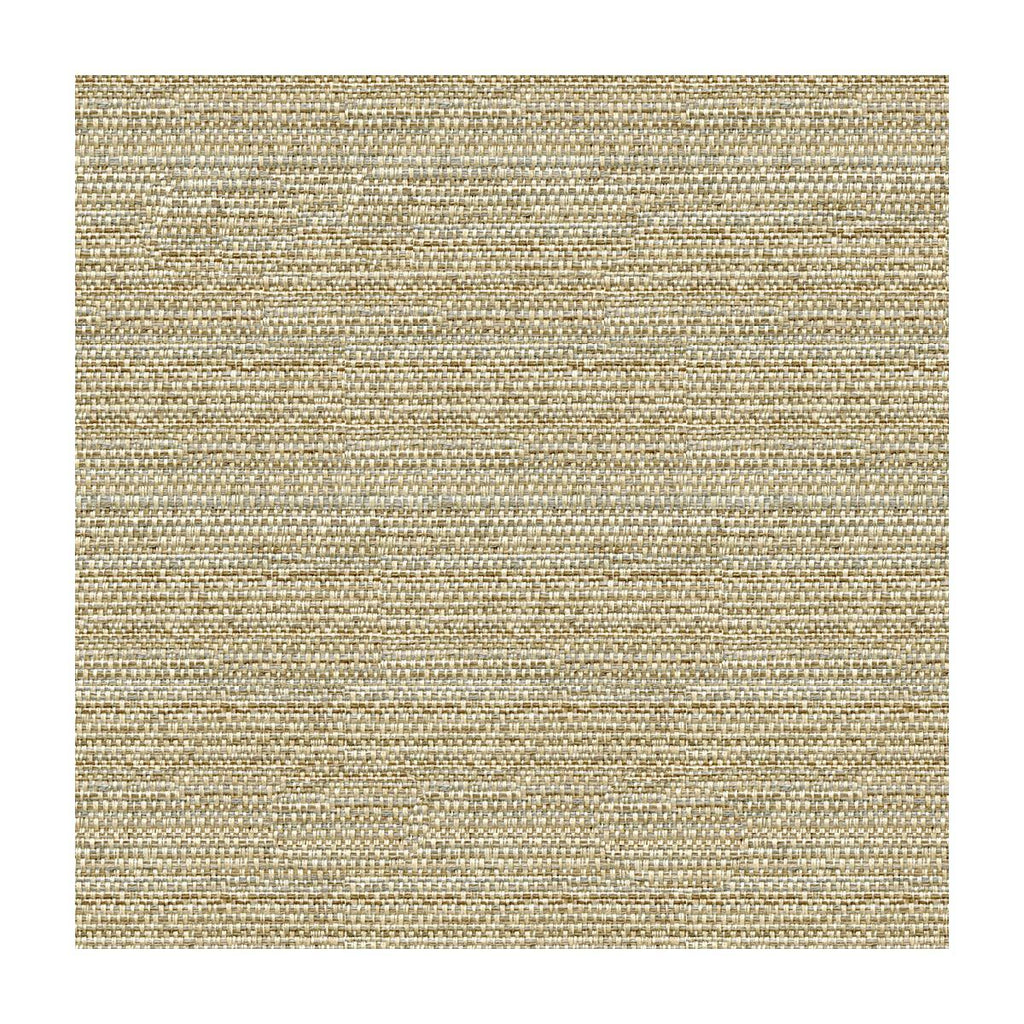 Kravet HELM DUNE Fabric