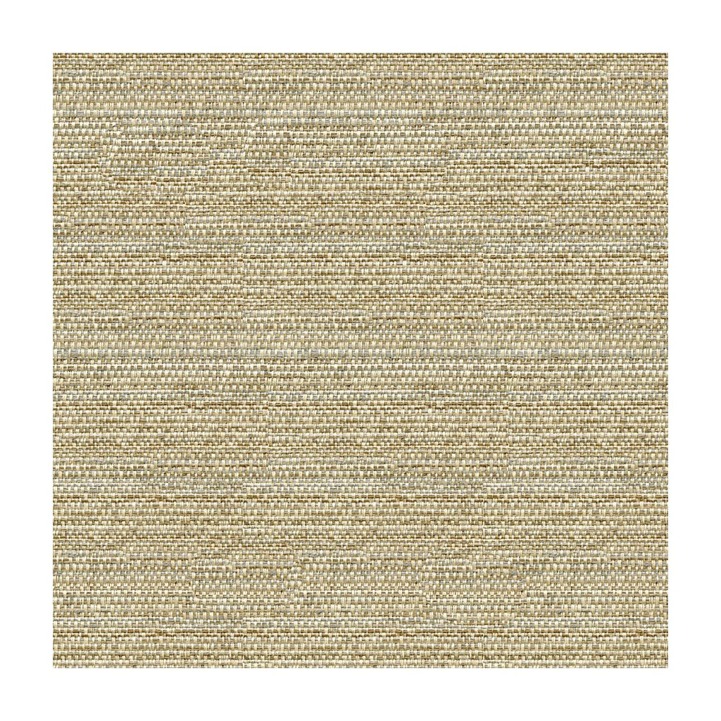 Kravet Helm Dune Fabric