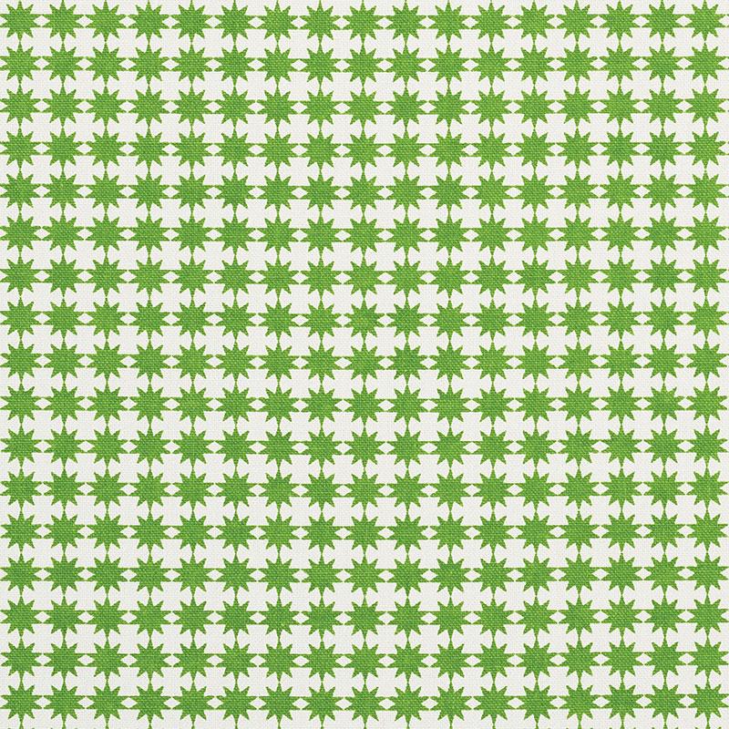 Schumacher Stella Green Fabric