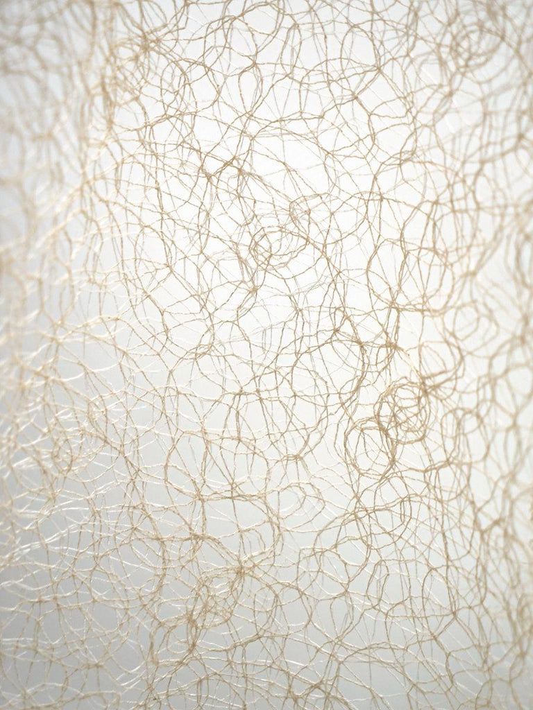 Scalamandre Modern Lace Champagne Fabric