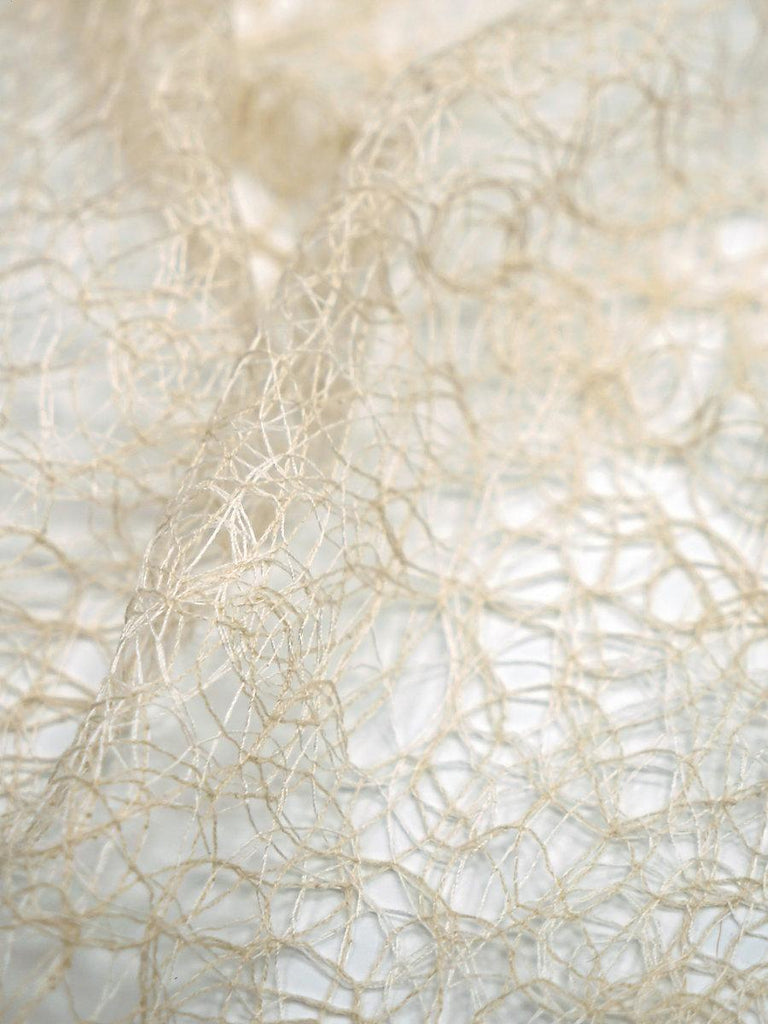 Scalamandre Modern Lace Champagne Fabric