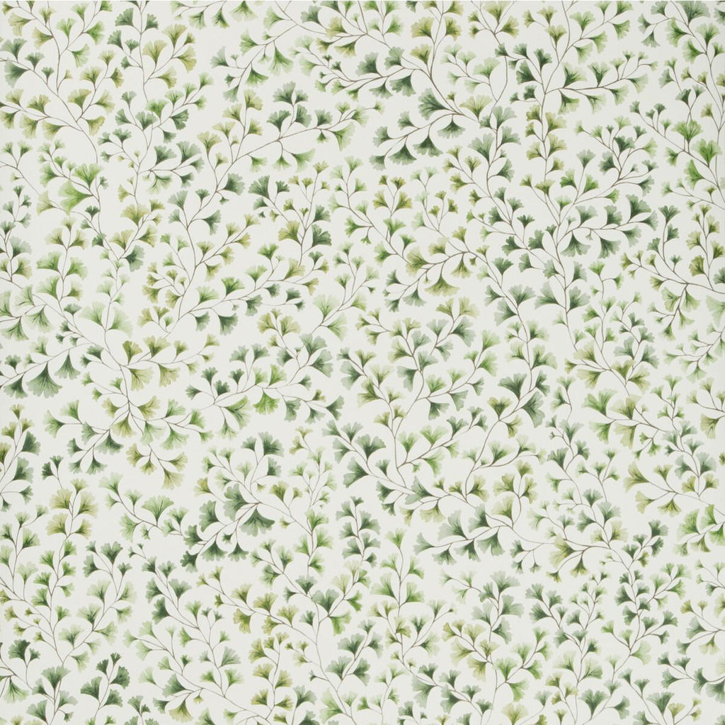 Cole & Son MAIDENHAIR OLIVE Wallpaper