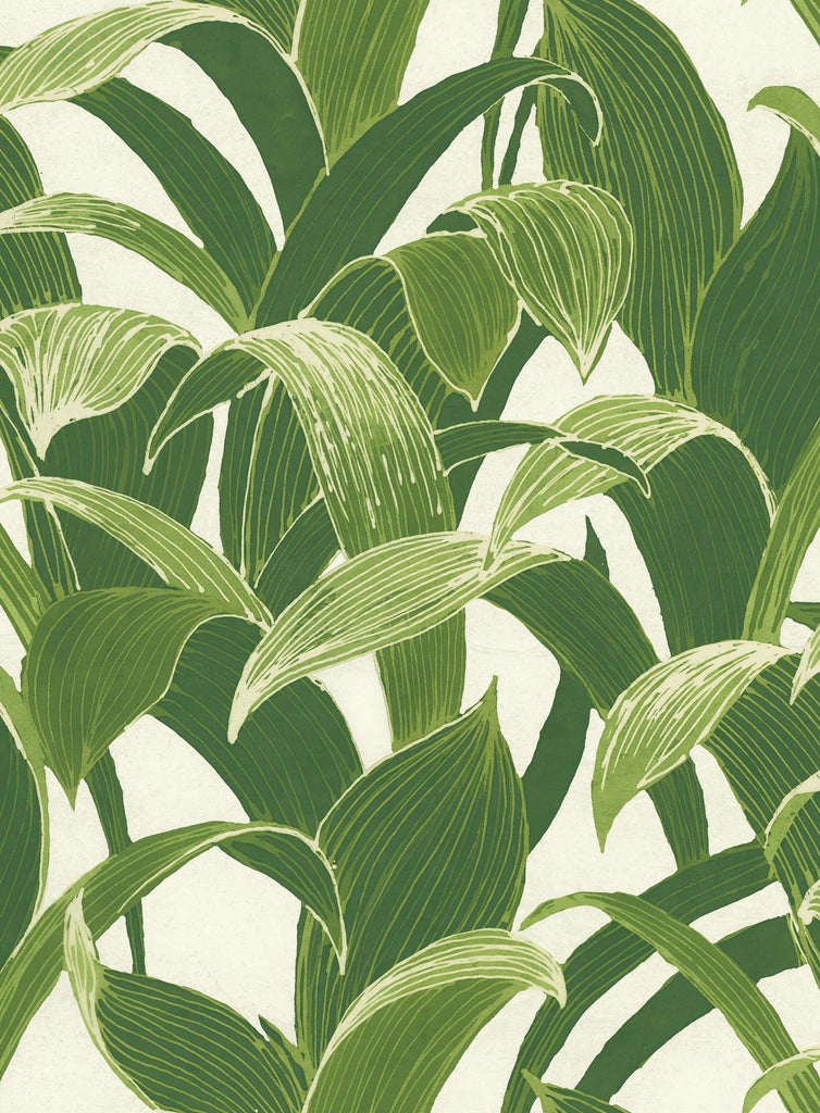 Seabrook Banana Groves Green & White Wallpaper