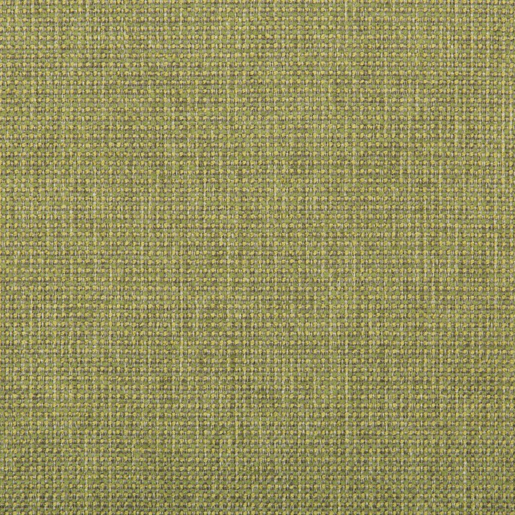 Kravet BURR MEADOW Fabric