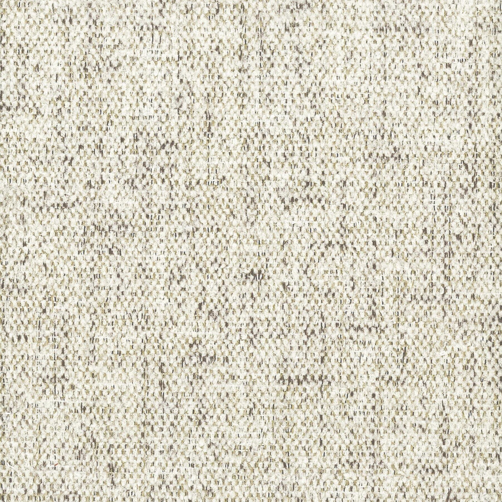 Stout DIOCESE ASH Fabric