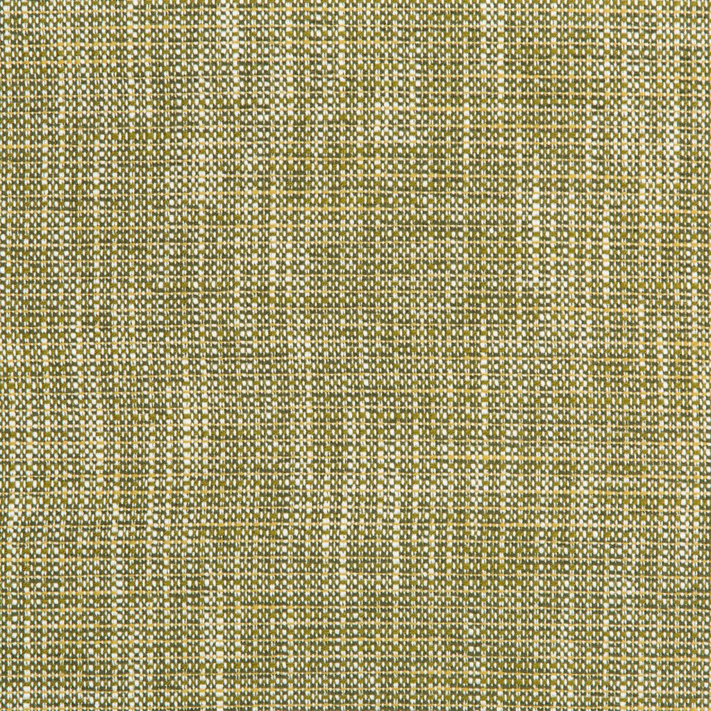 Kravet RIVER PARK MEADOW Fabric