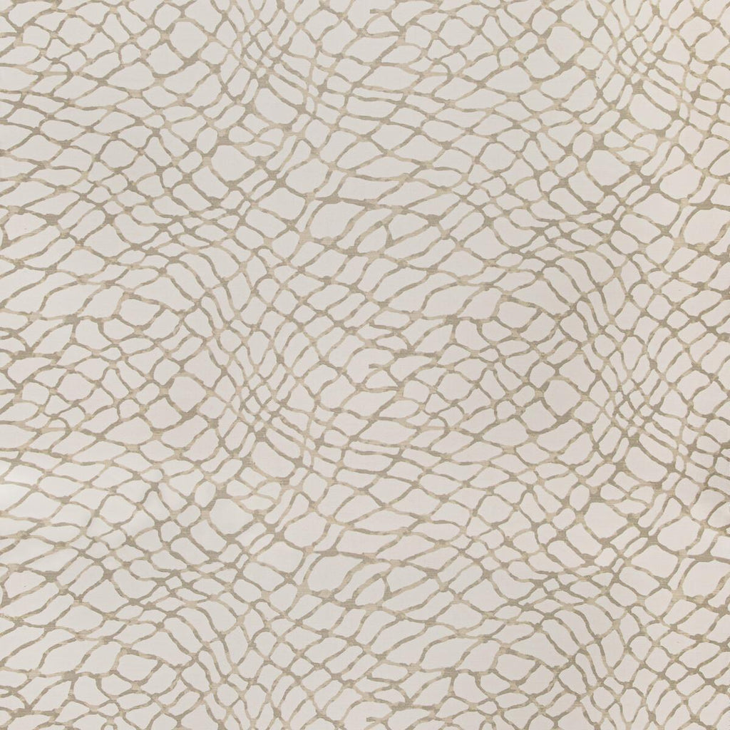 Kravet HAWSER DUNE Fabric