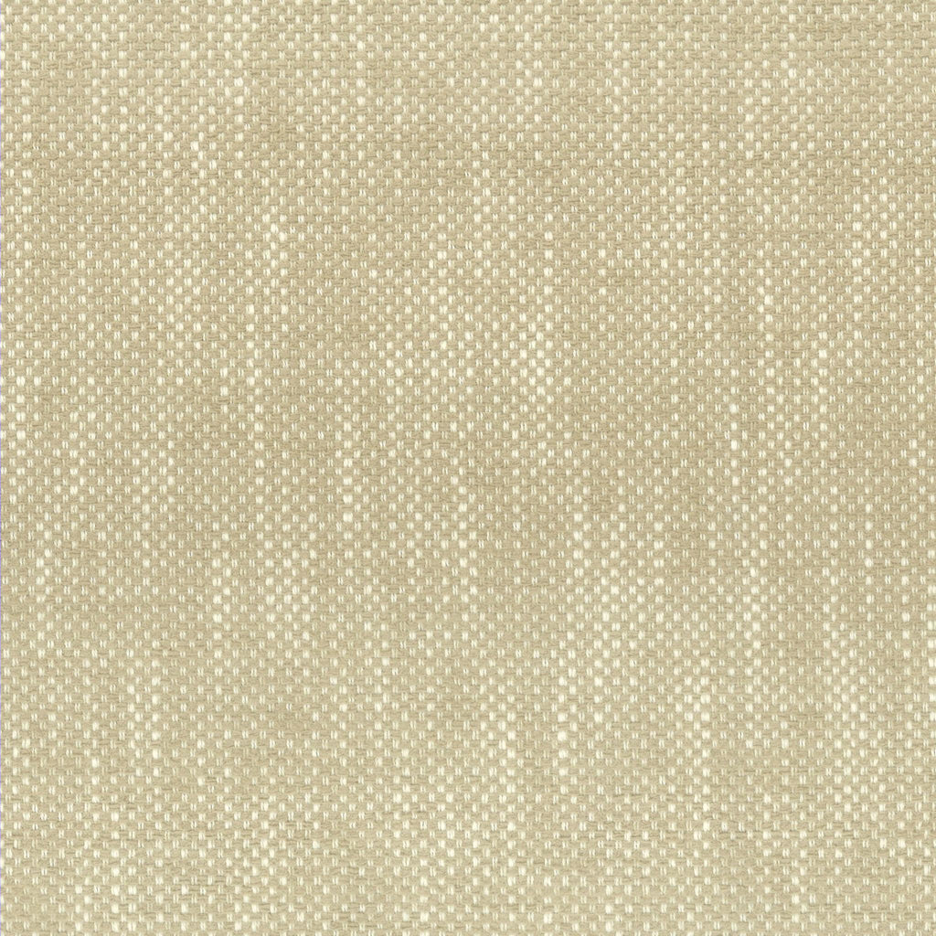 Stout PANIC CHAMPAGNE Fabric