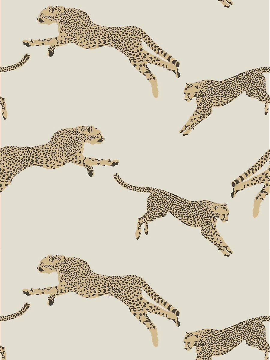 Pink Leopard Print Wallpaper by angeldust on DeviantArt