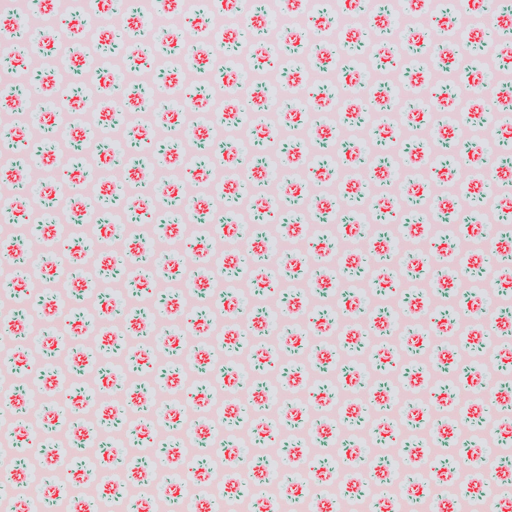 Stout OMALLEY POWDER Fabric