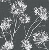 Seabrook One O'Clocks Charcoal Wallpaper