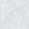 Seabrook Tree Branches Daydream Gray Wallpaper