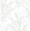 Seabrook Tree Branches Pearl Gray Wallpaper