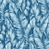 Seabrook Baha Banana Leaves Regatta Blue Wallpaper