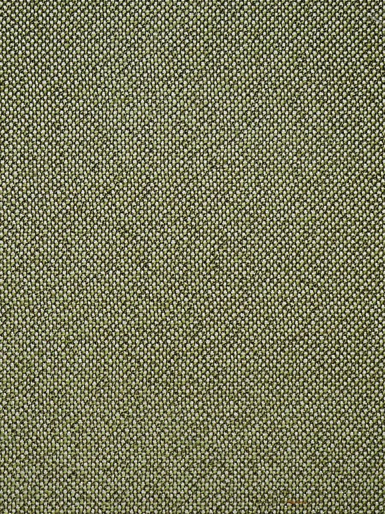 Scalamandre City Tweed Bonsai Fabric