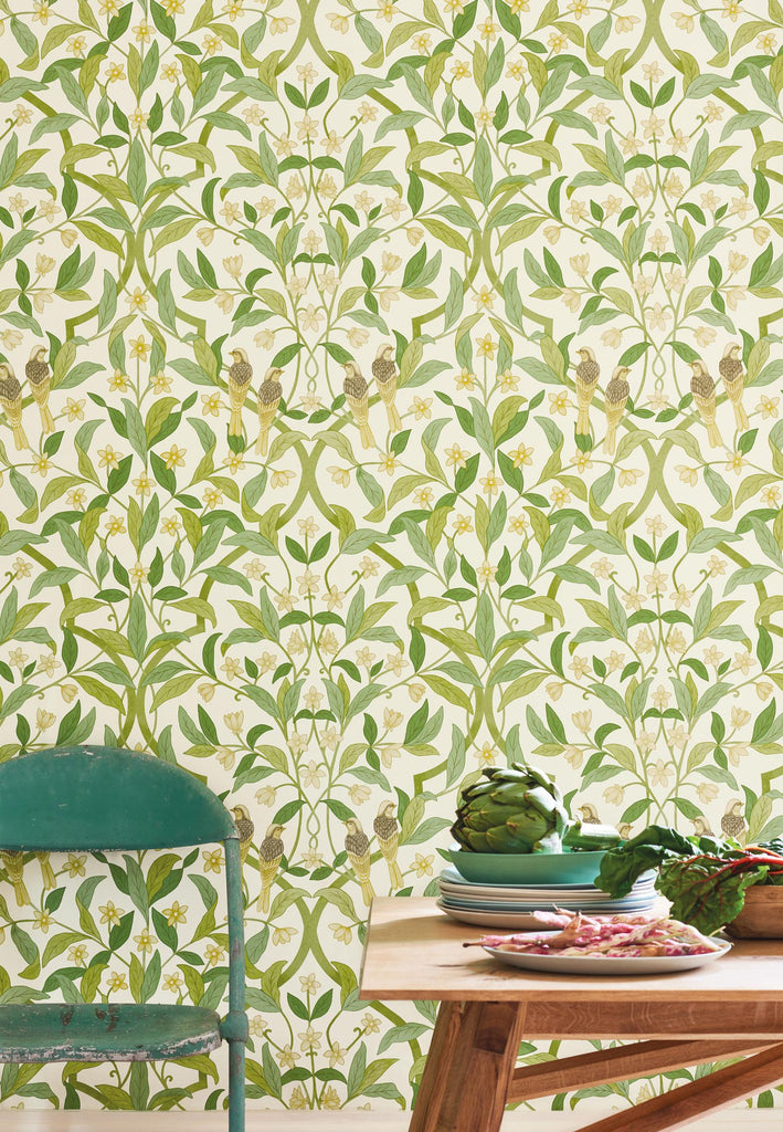 Cole & Son Jasmine & Serin Symphony Chartreuse/Grn/Wt Wallpaper ...