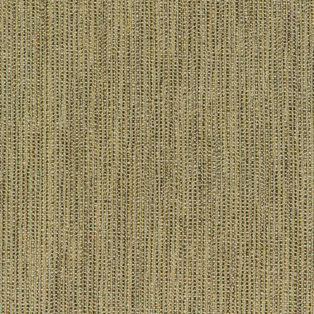 Kravet KRAVET SMART 35965-316 Fabric